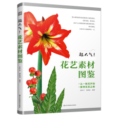 超人氣！花藝素材圖鑒