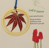 LC-12田園之楓葉正紅