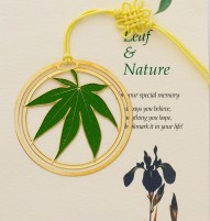 LC-13田園之楓葉淺綠