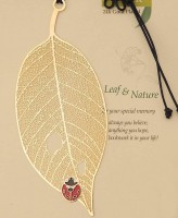 LC-34田園之蟲蛀金葉紅瓢蟲