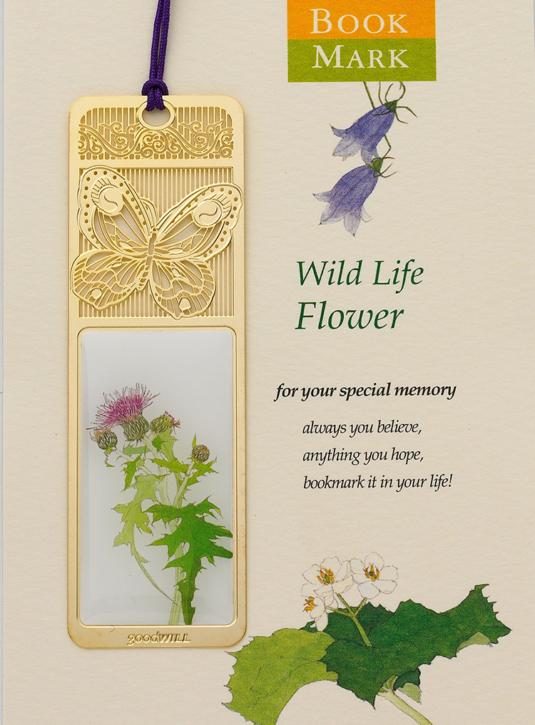 BM-WF16花草之蒲公英